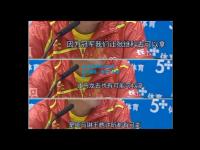 DB电竞官网:运动员实力突出，勇夺个人荣誉