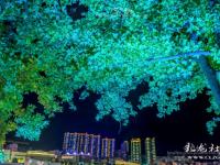 DB电竞官网:明星球员的表现闪亮夺目，精神面貌焕然一新