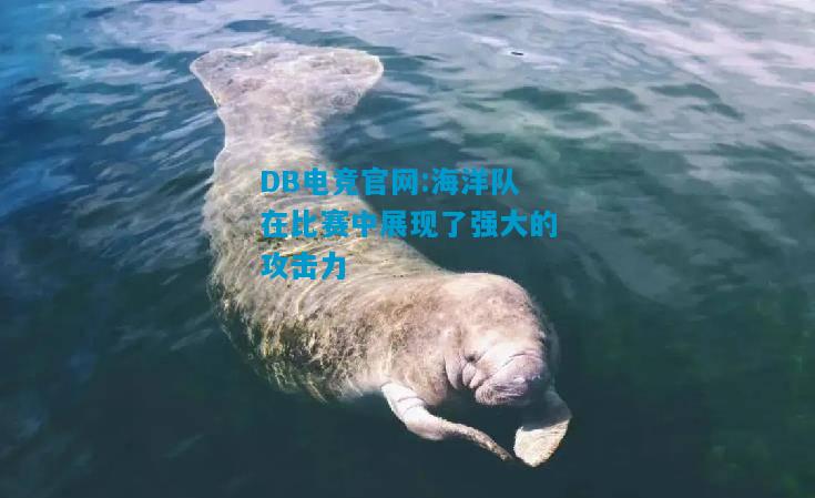 DB电竞官网:海洋队在比赛中展现了强大的攻击力