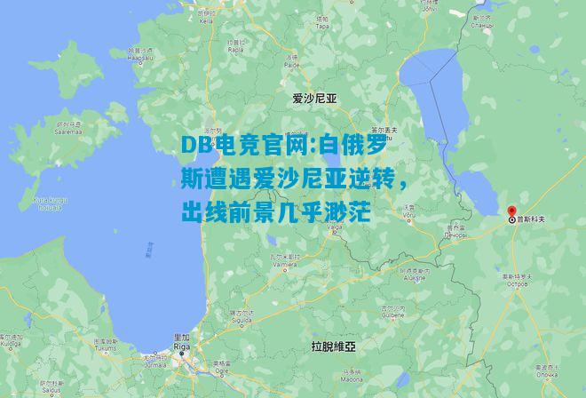 DB电竞官网:白俄罗斯遭遇爱沙尼亚逆转，出线前景几乎渺茫