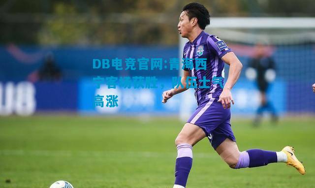 DB电竞官网:青海西宁客场获胜，队伍士气高涨